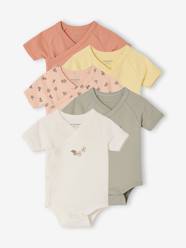 Baby-Pack of 5 floral short-sleeved bodysuits 