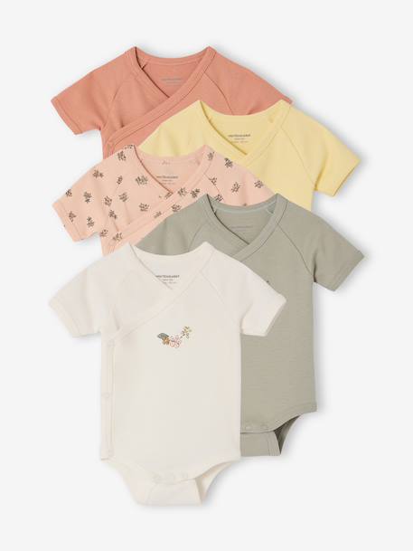 Pack of 5 floral short-sleeved bodysuits rose 