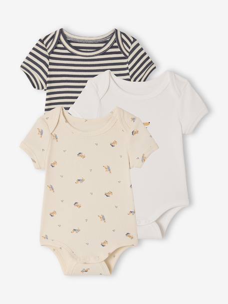 Pack of 3 short-sleeved dog print bodysuits for babies anthracite 
