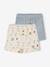 Pack of 2 baby shorts sky blue 