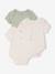 Pack of 3 short-sleeved pointelle bodysuits sage green 