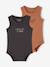 Pack of 2 organic cotton boy's bodysuits anthracite 