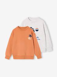 Boys-Pack of 2 "Cool and Fun" sweatshirts