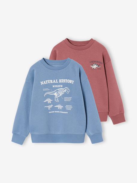 Pack of 2 'Cool and Fun' sweatshirts terracotta+tomato red 