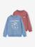 Pack of 2 'Cool and Fun' sweatshirts terracotta+tomato red 