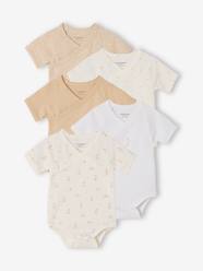 -Pack of 5 short-sleeved rabbit bodysuit for babies 
