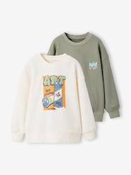 Boys-Cardigans, Jumpers & Sweatshirts-Sweatshirts & Hoodies-Pack of 2 long-sleeved boy's sweatshirts 