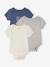 Pack of 3 short-sleeved, convertible bodysuits for boys marl grey 