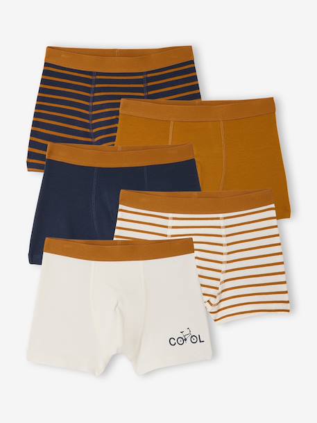 Pack of 5 boys' bike boxers ecru 