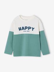 Boys-Sweatshirt with long colour block sleeves 