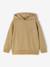 Cotton boy's hooded sweatshirt cumin 