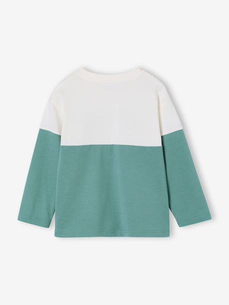 Sweatshirt with long colour block sleeves aqua green 