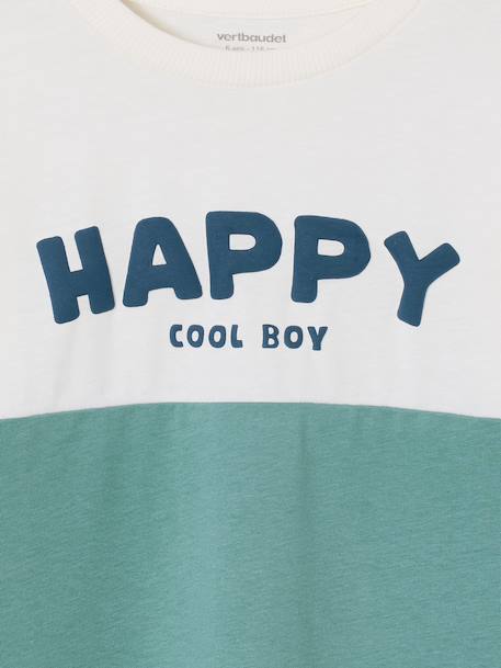 Sweatshirt with long colour block sleeves aqua green 