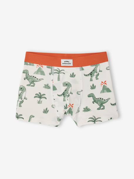 Pack of 5 dino boxers ink blue 
