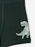 Pack of 5 dino boxers ink blue 