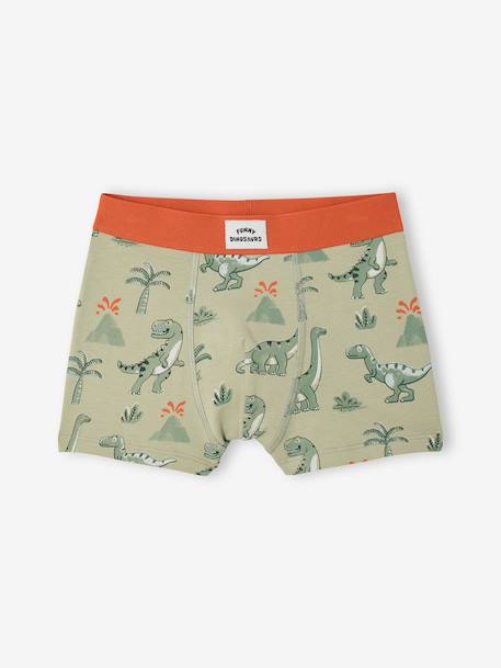 Pack of 5 dino boxers ink blue 