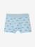 Pack of 5 Van boxers aqua green 