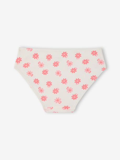 Pack of 5 briefs ecru 