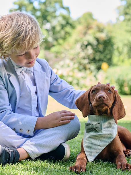 Striped cotton dog bandana sage green 
