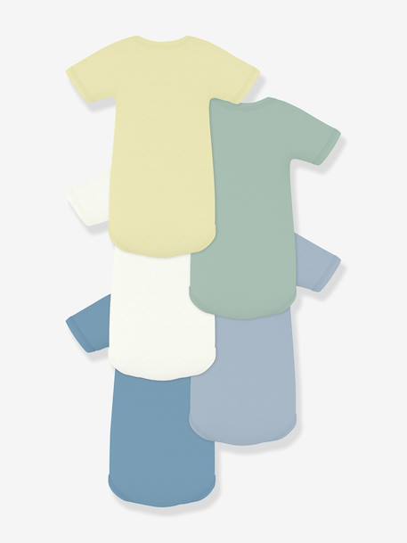 Pack of 5 cotton bodysuits Petit Bateau white 