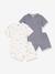 Pack of 2 PETIT BATEAU cotton pyjama shorts white 