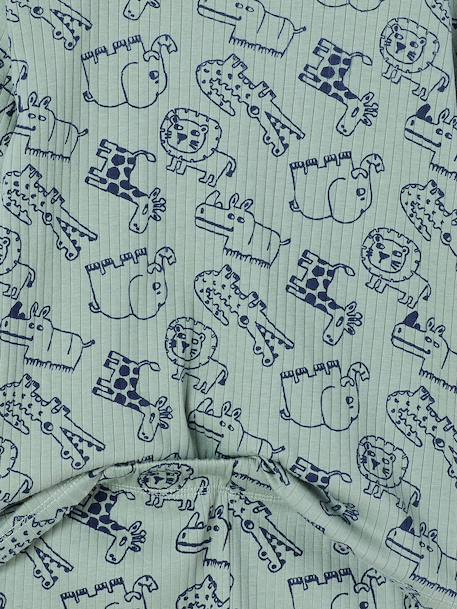 Boy's jungle pyjamas sage green 