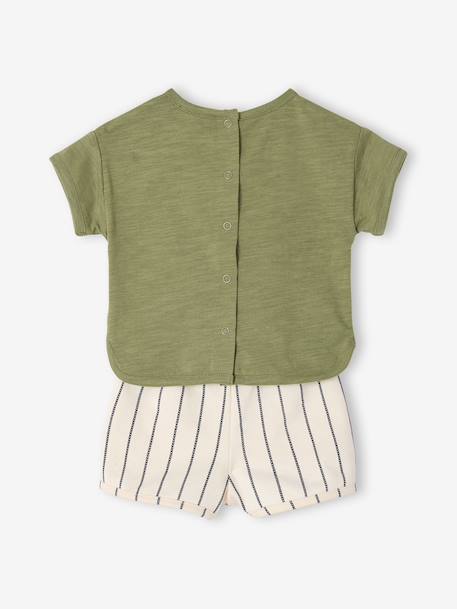 Set of 2 cotton pieces for boys khaki 