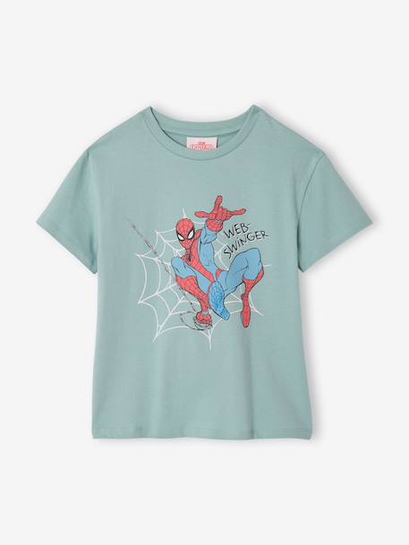 T-shirt SPIDERMAN grey blue 