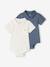 Pack of 2 Bodysuits with Polo Shirt Collar & Pocket, for Newborns ecru+sky blue 