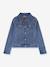 Denim trucker jacket Levi's for kids stone 