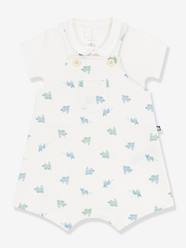 Baby-Dungarees & All-in-ones-Dungaree + bodysuit set for babies 