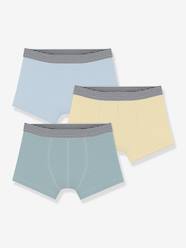 Boys-Underwear-Pack of 3 PETIT BATEAU boxers 
