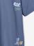 Pack of 2 short-sleeved t-shirts grey blue 