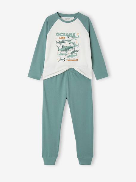 Pack of 2 cotton pyjamas for boys emerald green 