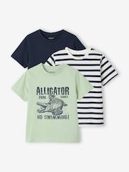 Boys-Tops-T-Shirts-Pack of 3 short-sleeved t-shirts 