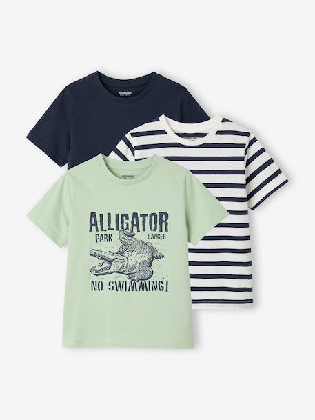 Pack of 3 short-sleeved t-shirts almond green+caramel+navy blue+pecan nut+petrol blue+sage green 