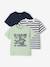 Pack of 3 short-sleeved t-shirts almond green+caramel+navy blue+pecan nut+petrol blue+sage green 