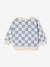 Boys' 'Team Soleil' sweatshirt grey blue 