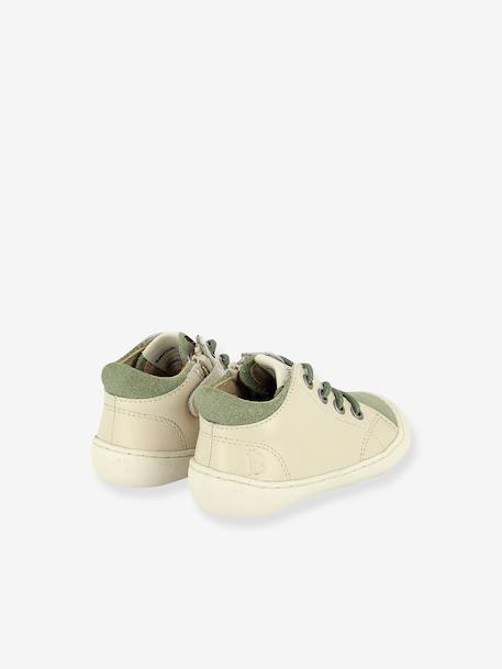 Berlingot zip-up ankle boots green+rose 