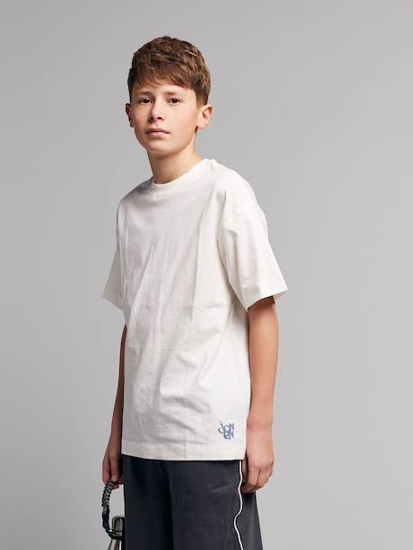Pack of 2 short-sleeved t-shirts grey blue 