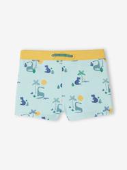 Boys-Dino baby swimsuit 