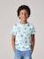 Printed boy's t-shirt denim blue+lichen+marl white+mint green 