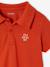 Set of 2 Plain, Short Sleeve Polo Shirts, for Boys aqua green+BLUE LIGHT SOLID WITH DESIGN+coral+orange 