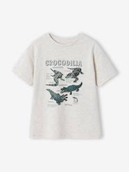 Boys-Boy's short-sleeved t-shirt 