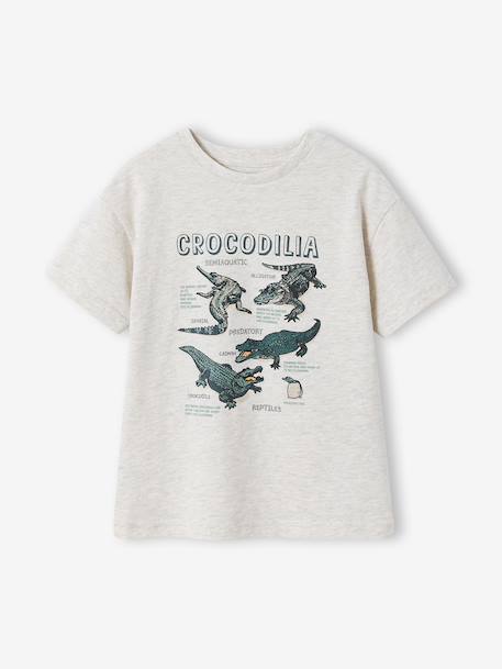 Boy's short-sleeved t-shirt lichen+marl white 