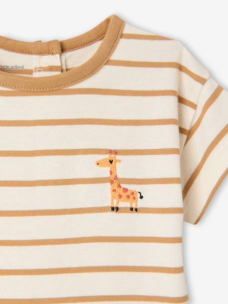 Baby short-sleeved t-shirt caramel 