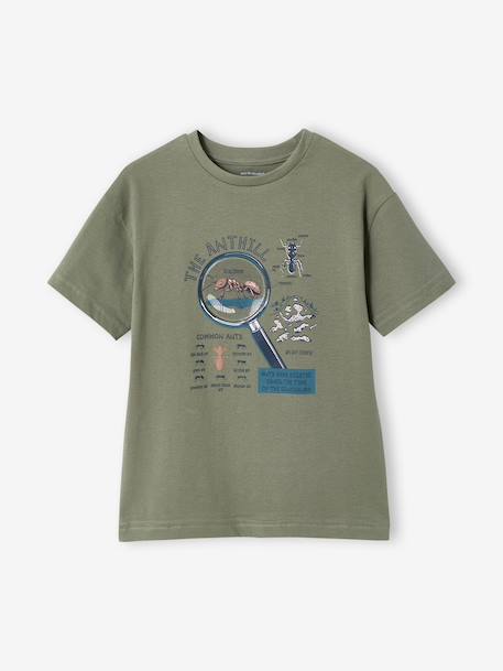 Boy's short-sleeved t-shirt lichen+marl white 