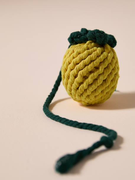Pack of 2 dog rope toys with fruit design yellow 
