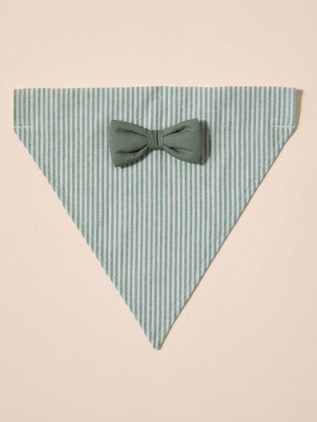 Striped cotton dog bandana sage green 