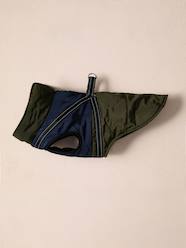 Bedding & Decor-Decoration-Pet Accessories-Pet Clothing-Lightweight jacket with dog zip and harness